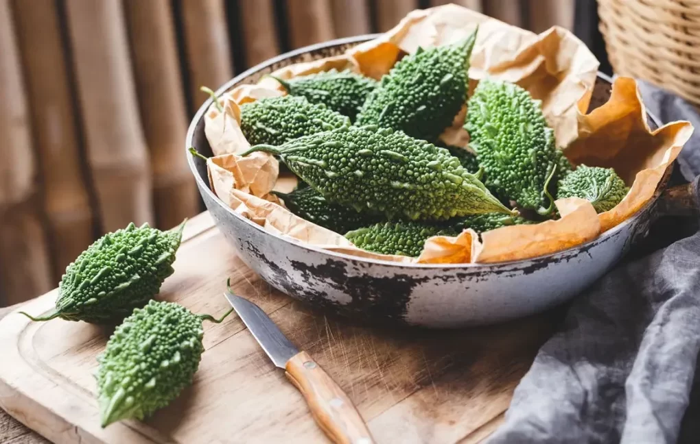 How Can Bitter Gourd Benefit Your Health?
